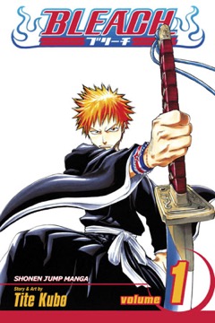 Bleach volume 1 cover