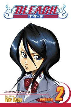 Bleach volume 2 cover