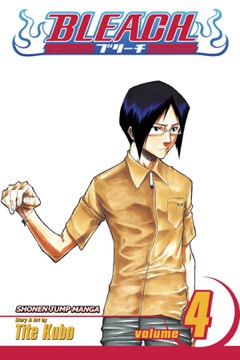 Bleach volume 4 cover