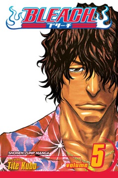 Bleach volume 5 cover