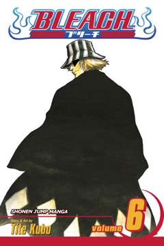 Bleach volume 6 cover