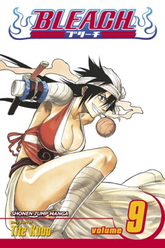 Bleach volume 9 cover